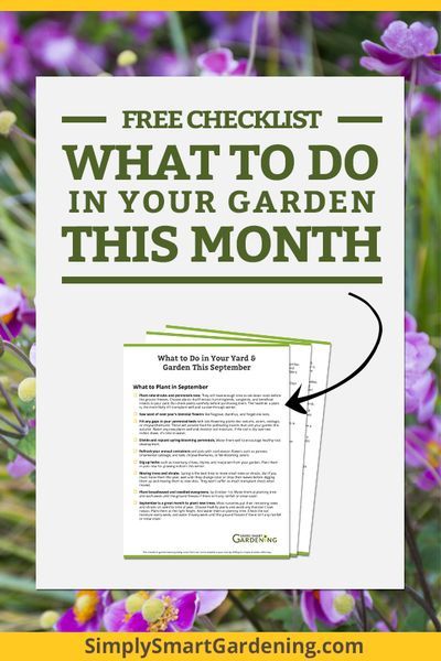 Not sure what needs to be done in the garden this month? Download my free yard & garden checklist. You'll get a list of everything you might need to do this month. It includes tasks for your fruit and vegetable garden, herb garden, flower garden, as well Fruit And Vegetable Garden, Garden Checklist, Vertical Vegetable Garden, Garden Calendar, Backyard Vegetable Gardens, Garden Planner, Smart Garden, Garden Maintenance, Garden Pests