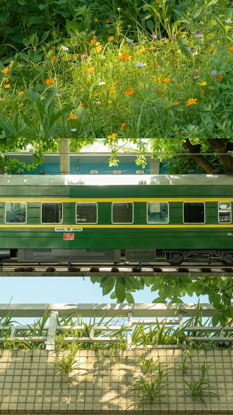 Technozen Aesthetic, Green Scenery Aesthetic, Orange Green Aesthetic, Orange And Green Aesthetic, Japan Forest, Green Wallpaper Phone, Japan Scenery, Green Chill, 숲 사진