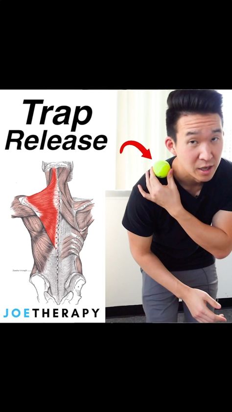 Joe Yoon on Instagram: “- - How to perform the TRAPS Release👇👇 - 1️⃣ Grab a 🎾 or lacrosse ball! 2️⃣ Pick which trap you will be doing first and place that arm…” Lacrosse Ball Massage, Back Flexibility, Lacrosse Balls, Done With You, Keep Fit, Lacrosse, Do It Yourself, Arm Warmers, Massage