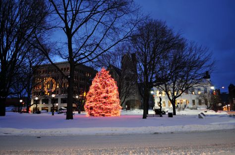 4. Park Square in Pittsfield really glows with the addition of some crisp snow. Massachusetts Winter, Berkshires Massachusetts, Pittsfield Massachusetts, Upstate Ny Travel, Most Beautiful Scenery, Christmas Towns, Lake George Village, Park Square, Cross Country Skier