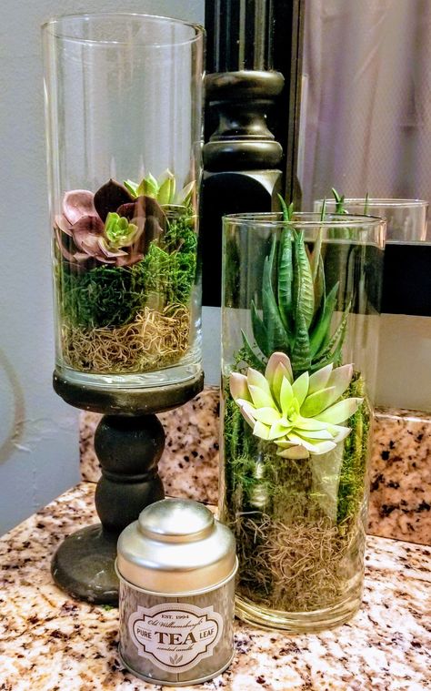 Diy Plant Centerpieces, How To Decorate Glass Cylinder Vases, Glass Cylinder Vases Decorating Ideas, Teranium Ideas Centerpieces, Spring Vase Filler Ideas, Glass Cylinder Ideas, Glass Vase With Greenery, Succulent Vase Filler, Glass Vase Filler Ideas