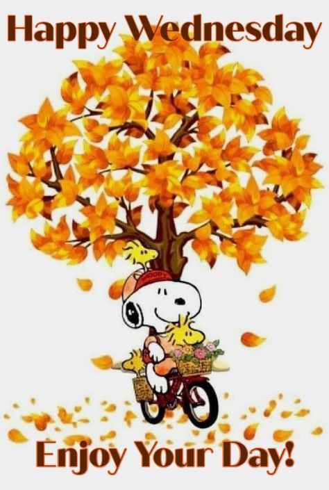 Cute Snoopy Fall Wallpaper, Good Morning Fall Images, Wednesday Morning Images, Good Morning Fall, Good Morning Happy Wednesday, Gif Good Morning, Wednesday Greetings, Good Morning Snoopy, Quotes Good Morning