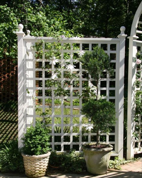 Trellis Privacy Wall, Lattice Fence Ideas, Garden Lattice, Garden Gates And Fencing, Garden Screens, Garden Screen, Trellis Fence, Grey Bar, Pergola Garden