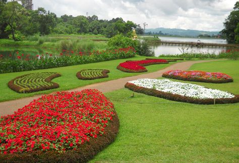 National Kandawgyi Gardens - Pyin Oo Lwin Pyin Oo Lwin Gardens, Pyin Oo Lwin, Myanmar Travel, Cute Friend Photos, Travel Information, Cute Friends, Friend Photos, Myanmar, Botanical Gardens