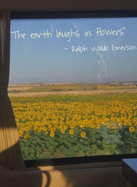 #flowers #quote #aesthetic The Earth Laughs In Flowers, Earth Laughs In Flowers, Quote Aesthetic, The Earth, Quotes, Flowers