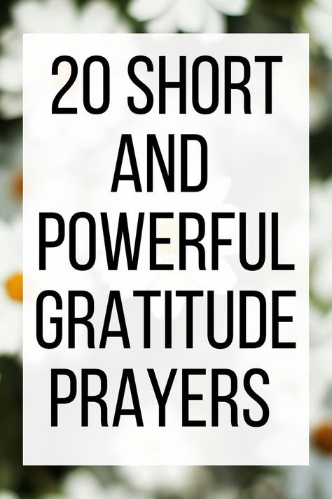 Our thankful gratitude prayers connect our hearts to God and refocus our eyes on the good things He is doing in our lives. 🙏🏼 Use these 20 short and powerful gratitude prayers to guide your prayer life and open up new paths of gratitude in your day. Prayers For Greatfulness, Devotion On Gratitude, Pray Of Gratitude, Prayers For Gratefulness, Thankful Quotes Life Gratitude Prayer, Thank You For Prayers, Prayers For Thankfulness Gratitude, Grateful Prayers To God, Thank You Prayer Gratitude