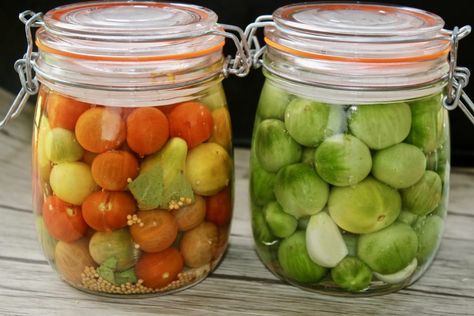 2 DELICIOUS WAYS TO LACTO-FERMENT TOMATOES - The Cultured Foodie Pickled Recipes, Lacto Fermented, Dill Pickle Recipe, Fermented Kimchi, Fermented Veggies, Canning Ideas, Fermentation Recipes, Tomato Season, Fermented Vegetables