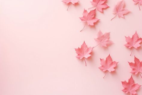 Maple leaves border cute backgrounds autumn petal.  | free image by rawpixel.com / nun Backgrounds Autumn, Backgrounds Texture, Pink Wallpaper Desktop, Twitter Cover Photo, Leaves Border, Pink Thanksgiving, Thanksgiving Wallpaper, Leaf Border, Fall Background