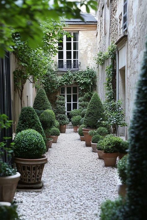 Woodlands Landscaping, Garden With Gravel, Wrap Around Verandah, French Backyard, French Garden Ideas, France Garden, Garden Mediterranean, Courtyard Plants, Garden Front Of House