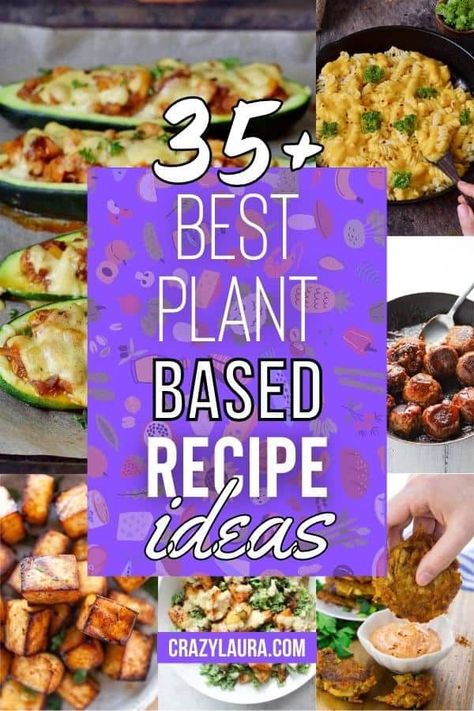 List of the Best Plant-Based Recipes For A Healthy Diet #PlantBasedRecipes #Vegan #Healthy #Recipes Plant Based Dinner Recipes, Vegan Healthy Recipes, Vegan Egg Rolls, Vegan Meatloaf, Power Snacks, Vegan Mashed Potatoes, Plant Based Recipes Dinner, Vegan Stew, Avocado Sandwich