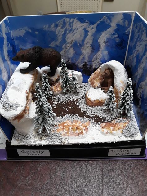 Completed and labeled diorama school  project. Another shot of spray glue here and there and we are Done! Cave Diorama, Bear Diorama, Diorama Kids, Bear Habitat, We Are Done, African Savanna, Spray Glue, Kids Projects, Origami Crafts Diy