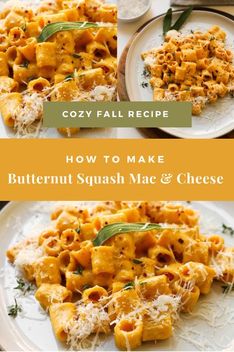 Roasted Butternut Squash Mac And Cheese, Sweet Mama Squash Recipes, Butternut Squash Macaroni And Cheese, Trader Joe’s Butternut Squash Mac And Cheese, Mac And Cheese Pie, Butternut Squash Mac Cheese, Butternut Squash Macaroni, Vegetarian Diet Recipes, Squash Mac And Cheese