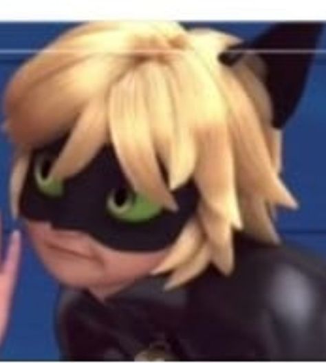 Adrien Agreste Pfp, Adrien Agreste Icons, Chat Noir Pfp, Cat Noir Pfp, Miraculous Ladybug Pfp, Mlb Pfp, Ladybug Pfp, Miraculous Pfp, Ladybugs Movie