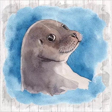 Sea Seal, Napkins For Decoupage, Paper Napkins For Decoupage, Paper Napkins, Decoupage, Napkins, Scrapbooking, Blue, Design