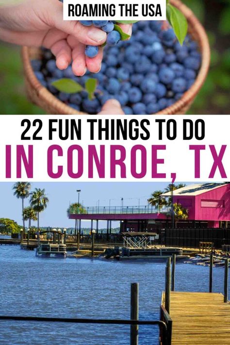 22 Fun Things to Do in Conroe, TX - Roaming the USA Lake Conroe Texas, Hill Country Texas Things To Do, Texas Travel Weekend Getaways, Dallas Travel, Texas Trip, Texas Adventure, Thanksgiving 2023, The Woodlands Texas, Travel Texas