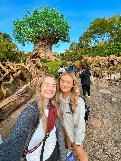 Animal Kingdom Instagram Pictures, Animal Kingdom Pictures, Animal Kingdom Photo Ideas, Animal Kingdom Aesthetic, Animal Kingdom Picture Ideas, Animal Kingdom Tree Of Life, Disney World Photo Ideas, Disney World Pictures Ideas, Animal Kingdom Outfit