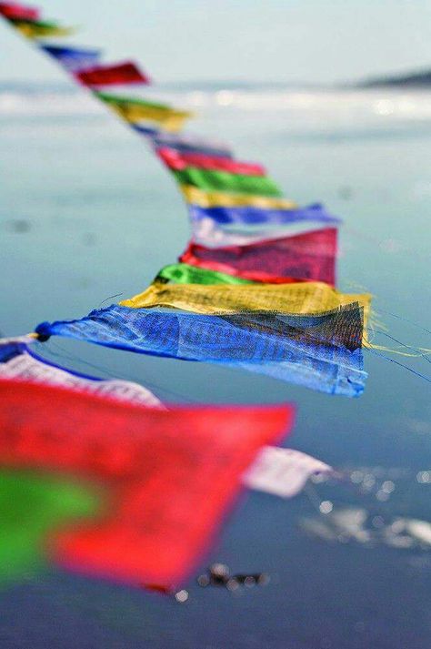 Tibetan Flag Wallpaper, Tibetan Flags, Tibet Flag, Tibetan Flag, Earth Flag, Tibetan Symbols, Tibetan Prayer Flag, Tibetan Monk, Ladakh India