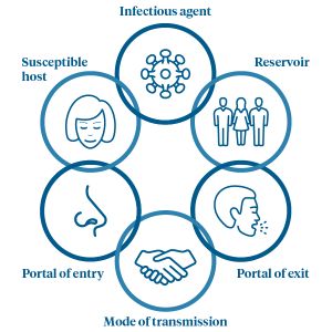 Chain Of Infection Poster Ideas, Chain Of Infection Poster, Infection Control Posters, Chain Of Infection, Korean Airport, Communicable Diseases, Break The Chain, Foot Reflexology Massage, Infection Prevention