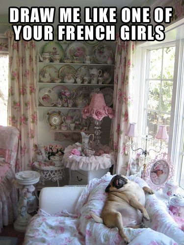 Lets face it, this is hilarious. Don't you want a pug now? Fat Pug, Puppy Pose, A Pug, Pugs Funny, Funny Dog Pictures, French Girls, Cute Pugs, Springer Spaniel, Pug Love