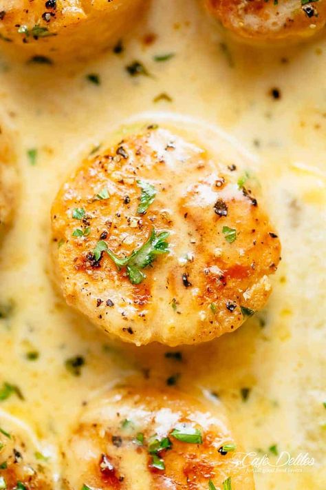 Creamy Garlic Scallops - Cafe Delites Garlic Scallops Recipe, Best Scallop Recipe, Bay Scallop Recipes, Garlic Scallops, Shrimp And Scallop Recipes, Sauteed Scallops, Grilled Scallops, Baked Scallops, Pan Seared Scallops