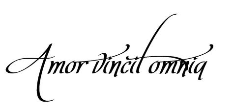 Love Conquers All <3 I want this tattoo on my back with a small heart. Love Conquers All Tattoo, 3 Tattoo, Type Face, Love Conquers All, Face Tattoo, Rib Tattoo, Great Tattoos, Cover Up Tattoos, Tattoo Lettering