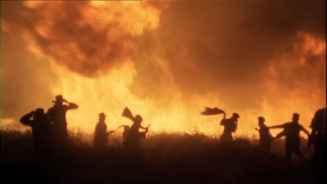 Days Of Heaven, Heaven Movie, Terrence Malick, Cinematography Composition, Cinematography Lighting, Beautiful Cinematography, Beautiful Film, Film Grab, Movie Director