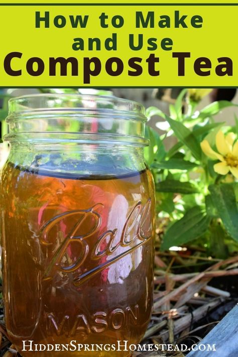 HOW TO MAKE AND USE COMPOST TEA.  Simple ingredients to make an organic fertilizer that will make your plants green and healthy.   Easy DIY compost tea recipe. Compost Tea Recipe, Make Compost, Diy Compost, How To Make Compost, Organic Pesticide, Compost Tea, Organic Vegetable Garden, Plants Green, Garden Compost