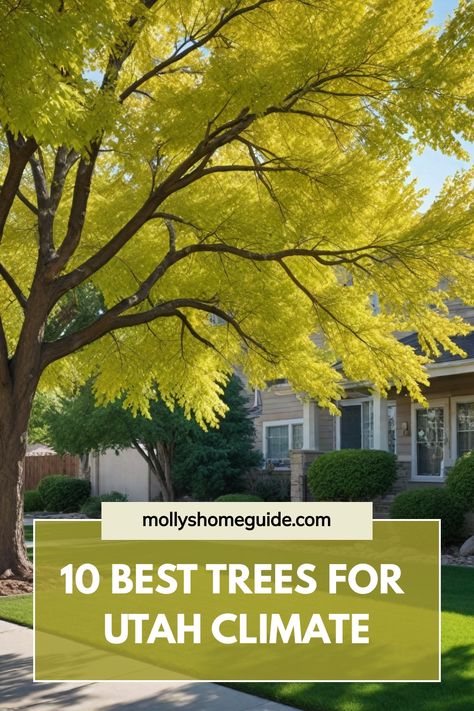 Discover the best trees to plant in Utah for a thriving garden. From beautiful flowering trees to hardy options suited for the Utah climate, choose the perfect additions to enhance your outdoor space. Explore a variety of options including fruit trees that are ideal for growing in Utah's unique conditions. Find inspiration and tips for creating a vibrant landscape with the best trees for your Utah garden. Utah Garden Landscaping, Utah Landscaping, Utah Garden, Crepe Myrtle Trees, Blue Spruce Tree, Cedar City Utah, Eastern Redbud, Myrtle Tree, Vibrant Landscape