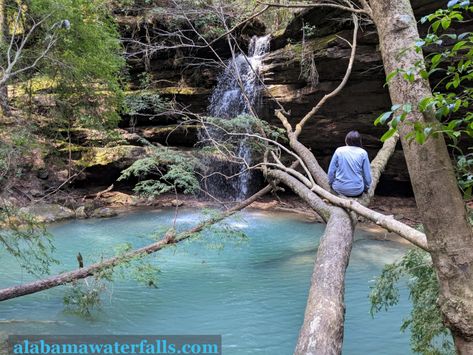 Trip Guide: Shangri-La Falls in Bankhead National Forest - Alabama Waterfalls Bankhead National Forest Alabama, Alabama Waterfalls, Arkansas Road Trip, Shangri La, National Forest, Arkansas, Day Trips, Alabama, The End