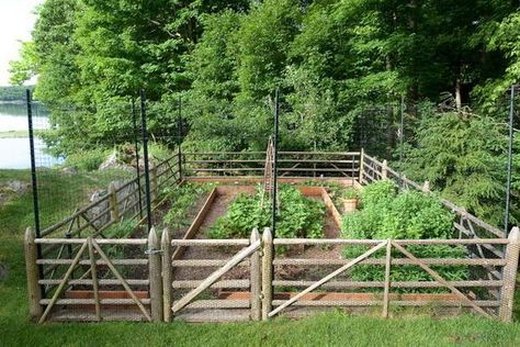 vegetable+garden+land+scape+design | Creating Perfect Garden Designs to Beautify Backyard Landscaping Ideas Small Garden Fence, Rustic Garden Fence, Fenced Vegetable Garden, Deer Fence, Rustic Fence, Garden Vines, Budget Garden, Backyard Vegetable Gardens, Fence Landscaping