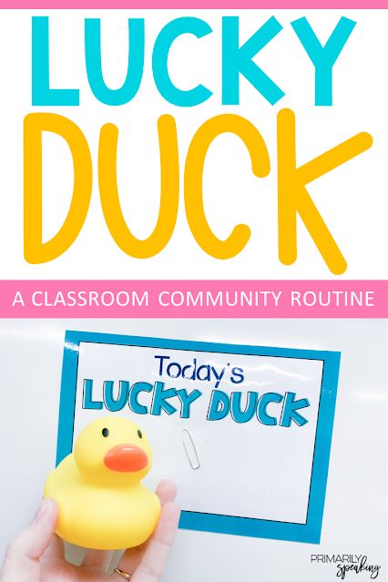 Classroom Take Home Buddy, Kindergarten Classroom Behavior Management, Lucky Ducky Classroom, Incentives For Preschoolers, Lucky Ducky Classroom Management, Classroom Management For Preschool, Classroom Management Ideas Preschool, Classroom Duck Theme, Lucky Ducks Classroom Jar