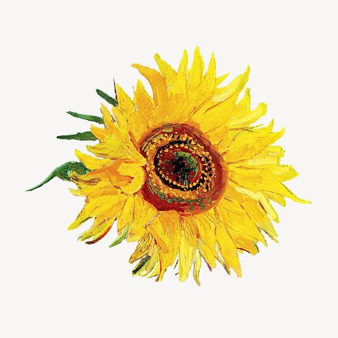 Van Gogh's sunflower collage element psd. Remixed by rawpixel. | premium image by rawpixel.com / Adjima Van Gogh Sunflowers Drawing, Sunflower Van Gogh, Sunflower Collage, Sunflowers Van Gogh, Van Gogh Flowers, Psd Texture, Van Gogh Painting, Sunflower Drawing, Vincent Van Gogh Paintings