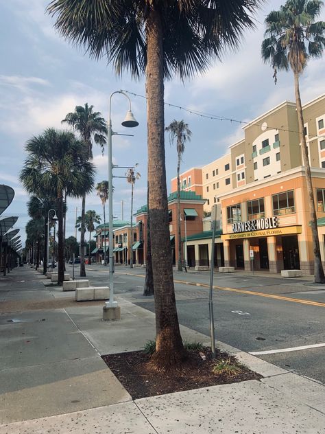 Ucf Campus Aesthetic, University Of Central Florida Aesthetic, College In Florida, Ucf Aesthetic, Cool Places To Go, Romanticizing College, Campus Aesthetic, Florida College, Colleges In Florida