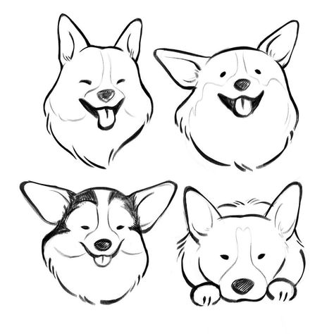 Halby - Pet Illustrator on Instagram: “Just some random corgi study sketches #illustration #petillustrator #corgi #dogportrait #dogillustration #corgiillustration…” How To Draw Corgi, Cartoon Corgi Drawing, Australian Shepherd Doodle, Corgi Drawing Easy, Corgi Doodle, Study Sketches, Corgi Illustration, Dog Sketches, Draw Dog