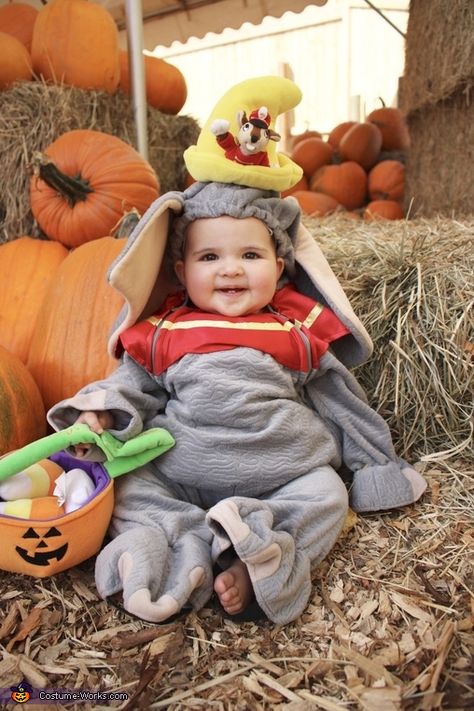 Dumbo Halloween Costume Family, Dumbo Family Costume, Wagon Halloween Costumes, Dumbo Costume, Princess Anna Costume, Dumbo Birthday, Dumbo Birthday Party, Random Baby