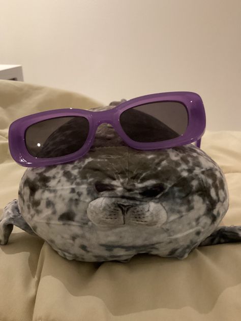 Blob seal plushie Silly Seal, Seal Plush, Seal Pup, Cute Stuffed Animals, Sea Lion, Sharks, Seals, Stuffed Animals, Dumb And Dumber