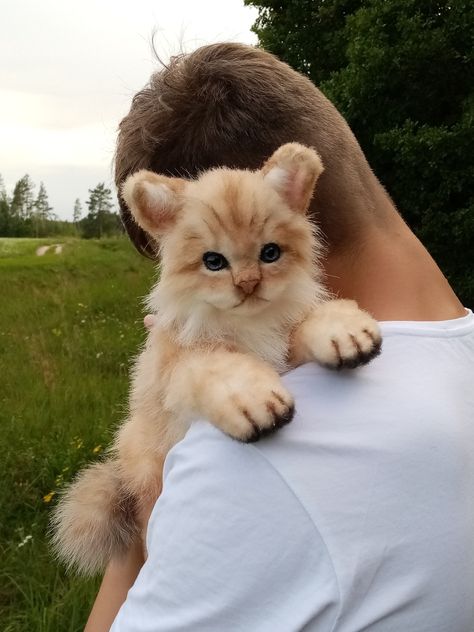 Realistic Cat Plush, Realistic Stuffed Animals, Kitten Art, Different Poses, Pet Fox, Realistic Dolls, Animal Toys, Handmade Plush, Baby Kittens