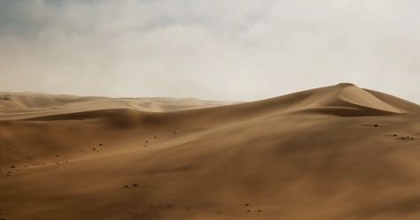 source.gif (900×474) Video Healing, Storm And Silence, Cinemagraph Gif, Glitch Gif, Gif File, Wolf Running, Desert Aesthetic, Weather Icons, The Last Kingdom