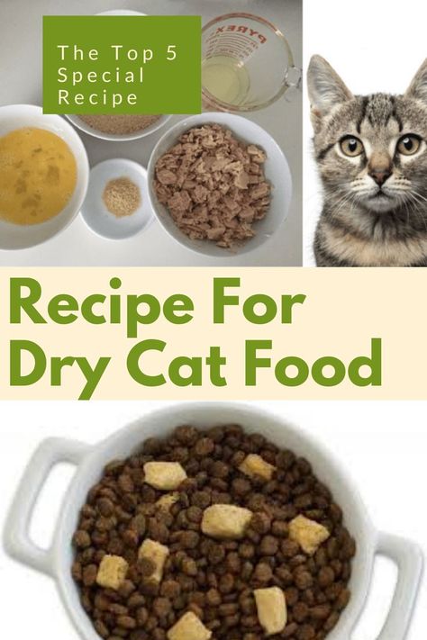 cat food
dry cat food
recipe Dry Cat Food Recipe, Homemade Dry Cat Food, Simple Homemade Cat Food, Homemade Kitten Food, Cat Food Recipe, Kitty Treats, Diy Cat Food, Catnip Treats, Pet Recipes