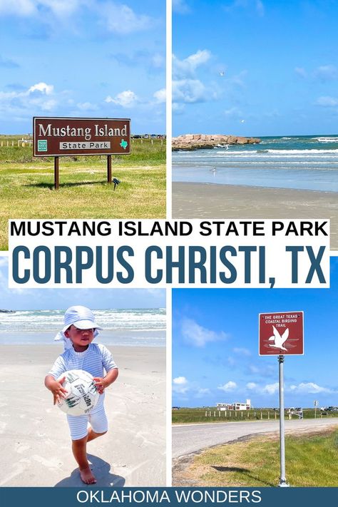 Mustang Island State Park, North Padre Island Texas, Port Aransas Texas Things To Do In, Port Aransas Texas Beach, Mustang Island Texas, Port Aransas Beach, Houston Bars, Beautiful Places In Usa, Port Aransas Texas