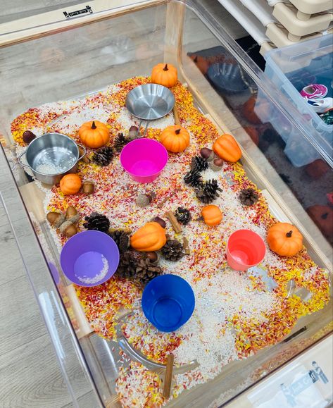 Sensory bin with coloured rice, pumpkins, acorns, pinecones, and cinnamon sticks! Rice Sensory Bin, Coloured Rice, Colored Rice, Sensory Bin, Sensory Bins, Autumn Inspiration, Cinnamon Sticks, Pine Cones, Pumpkins