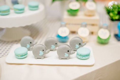 Elephant Macarons from a Little Elephant Birthday Party on Kara's Party Ideas | KarasPartyIdeas.com (15) Elephant Macarons, Elephant Birthday Party, Elephant Party, Baby Girl Elephant, Elephant Cakes, Jungle Theme Birthday, Elephant Birthday, Elephant Theme, Gender Reveal Party Decorations