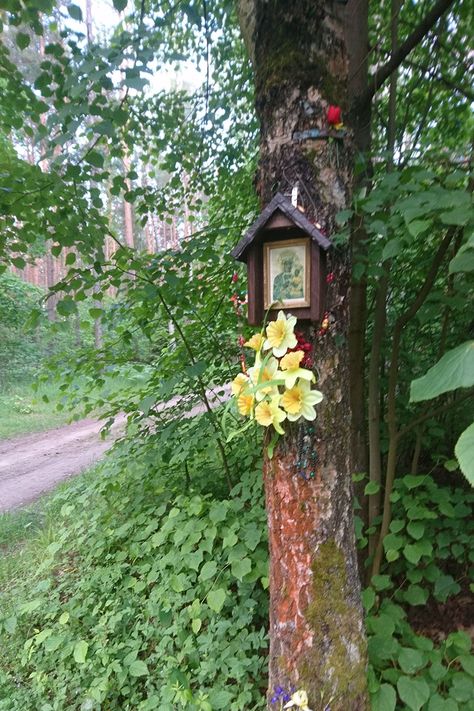 The Layered Meanings of Poland’s Wayside Shrines | Smithsonian Folklife Outdoor Shrines And Altars Ideas, Outdoor Prayer Space, Backyard Chapel, Outdoor Shrine, Garden Shrine, Folk Catholicism, Catholic Garden, Wayside Shrine, Marian Garden