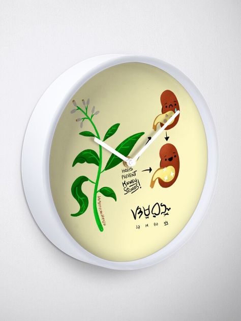 "Sambong or Blumea balsamifera medicinal plant art" Clock for Sale by Filipeanut Blumea Balsamifera, Philippine Biodiversity, Biodiversity Illustration, Art Clock, Plant Art, Medicinal Plants, Clock Design, Science Poster, Stranger Things Fanart