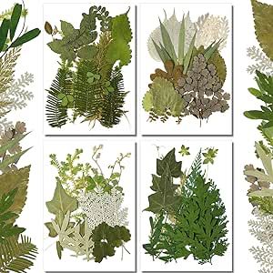 Dried Leaves Art Diy, Dried Greenery, Dried Flowers Crafts, Leaf Art Diy, Handmade Bookmarks, Pressed Leaves, Decorative Leaves, Dried And Pressed Flowers, Dry Leaf