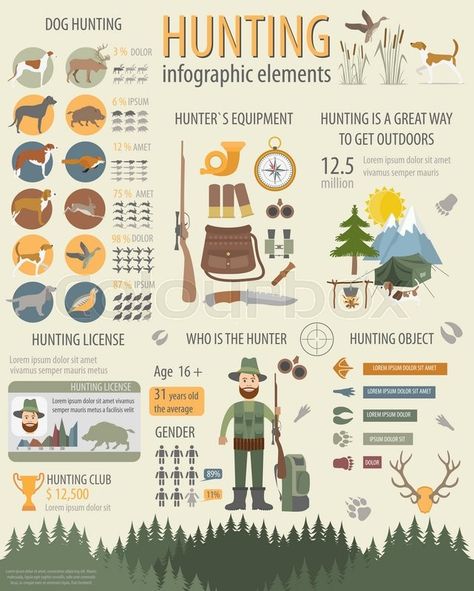 Duck Hunting Blinds, Dog Infographic, Dog Hunting, Nature Hunt, Hunting Guide, Dog Equipment, Infographic Inspiration, Dog Training Classes, Hunting Tips