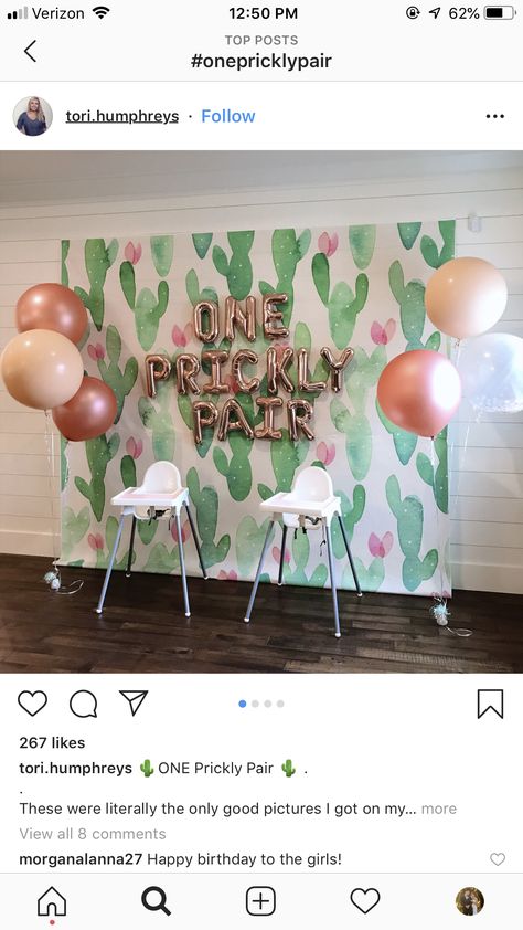 Succulent First Birthday Party, Prickly Pear Birthday Theme, Cactus First Birthday Girl, Prickly Pair Birthday Party, One Prickly Pair Birthday Theme Twins, Twin One Year Birthday Ideas, One Prickly Pair Birthday Theme, Twin First Birthday Ideas, One Prickly Pair