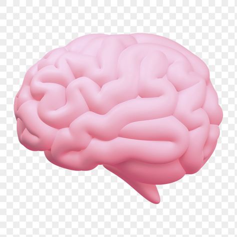 Brain Png Icon, Brain Png Aesthetic, Notion Icons Transparent, Aesthetic Icons Png Transparent, Cute Transparent Icons, Transparent Background Aesthetic, Brain Png, Transparent Icons, Brain Graphic