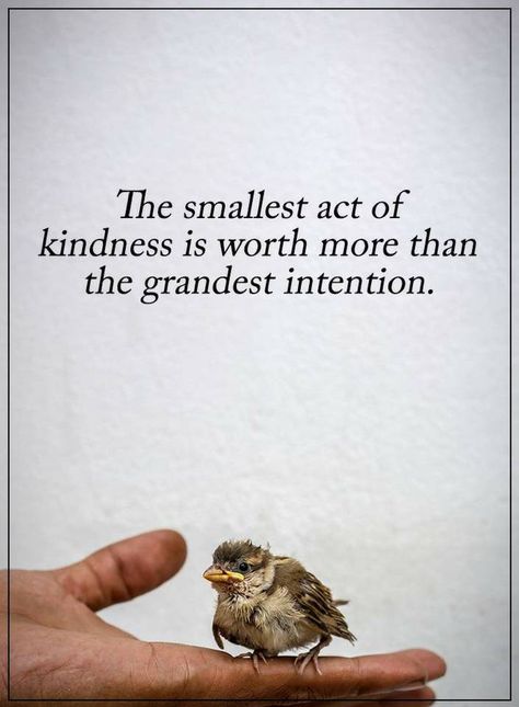 Acts Of Kindness Quotes, Act Of Kindness Quotes, Financial Intelligence, Kindness Quote, Act Of Kindness, Small Acts Of Kindness, Acts Of Kindness, Kindness Quotes, Random Acts Of Kindness