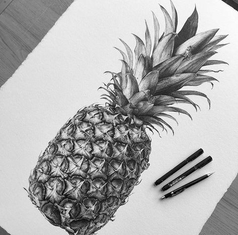 Draw A Pineapple, Pinapple Drawings Pencil, Pineapple Sketch, Pineapple Drawing, Fruit Sketch, Fruit Art Drawings, Structural Drawing, Airplane Drawing, Stippling Art